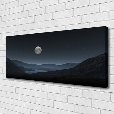 Quadro su tela Paesaggio notturno della luna