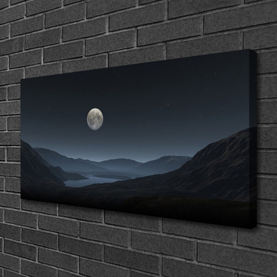 Quadro su tela Paesaggio notturno della luna