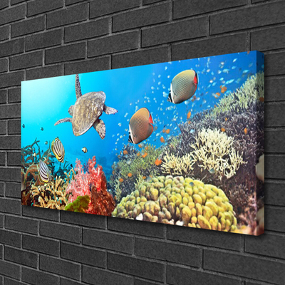 Stampa quadro su tela Paesaggio della barriera corallina