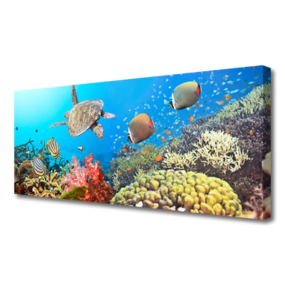 Stampa quadro su tela Paesaggio della barriera corallina