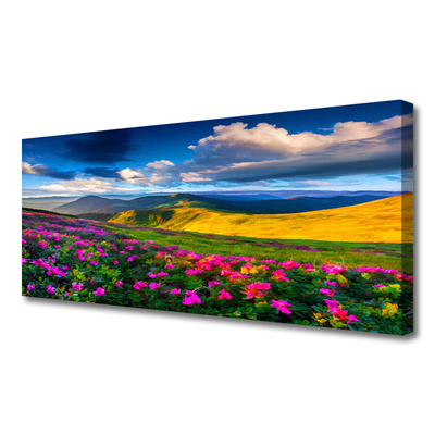 Quadro su tela Prato, fiori, natura