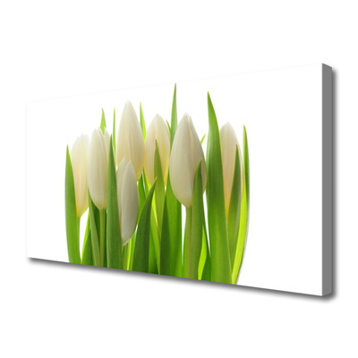 Quadro su tela Tulipani Pianta Natura
