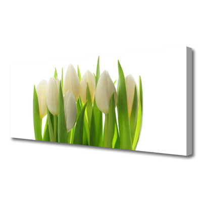 Quadro su tela Tulipani Pianta Natura