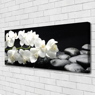 Quadro su tela Pianta di pietre di fiori