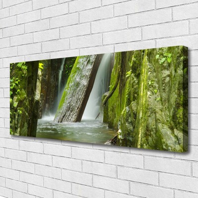 Quadro su tela Cascata della natura