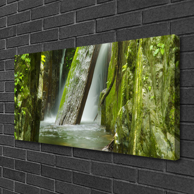 Quadro su tela Cascata della natura