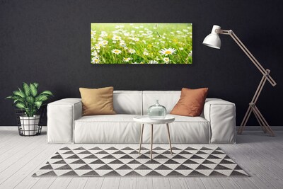 Quadro su tela Prato Daisy Natura