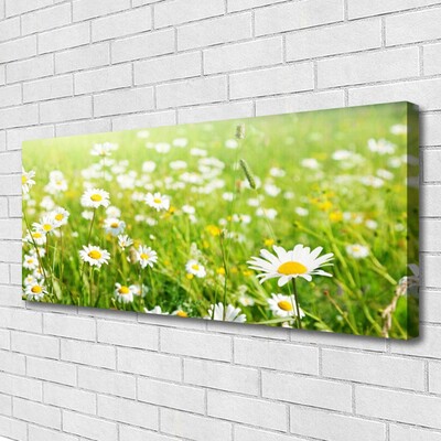 Quadro su tela Prato Daisy Natura