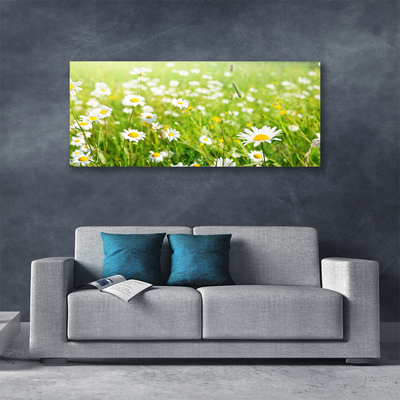 Quadro su tela Prato Daisy Natura