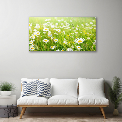 Quadro su tela Prato Daisy Natura