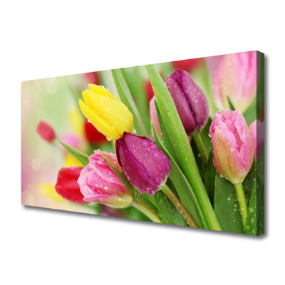 Quadro su tela Tulipani, fiori, piante