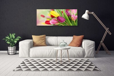 Quadro su tela Tulipani, fiori, piante