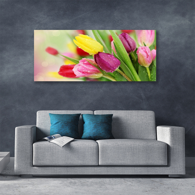 Quadro su tela Tulipani, fiori, piante