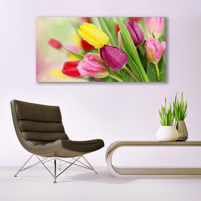 Quadro su tela Tulipani, fiori, piante