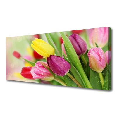 Quadro su tela Tulipani, fiori, piante