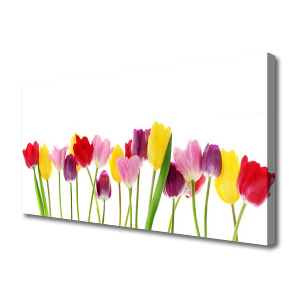 Quadro su tela Tulipani, fiori, piante