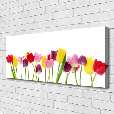 Quadro su tela Tulipani, fiori, piante