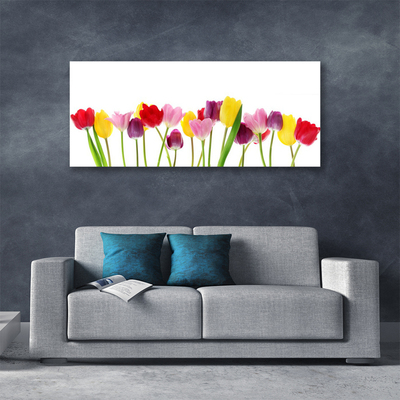 Quadro su tela Tulipani, fiori, piante