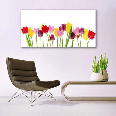 Quadro su tela Tulipani, fiori, piante