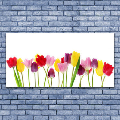 Quadro su tela Tulipani, fiori, piante