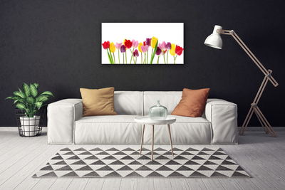 Quadro su tela Tulipani, fiori, piante