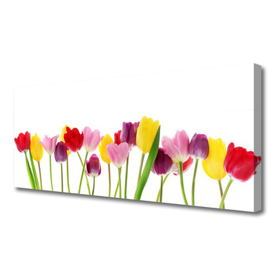 Quadro su tela Tulipani, fiori, piante