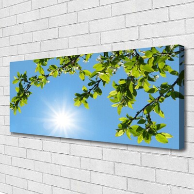 Quadro su tela Il Sole. Natura