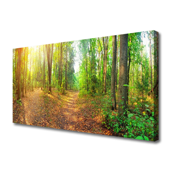 Quadro su tela Alberi della natura della foresta