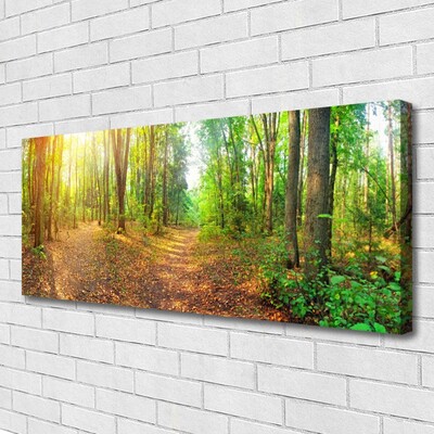 Quadro su tela Alberi della natura della foresta