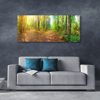 Quadro su tela Alberi della natura della foresta