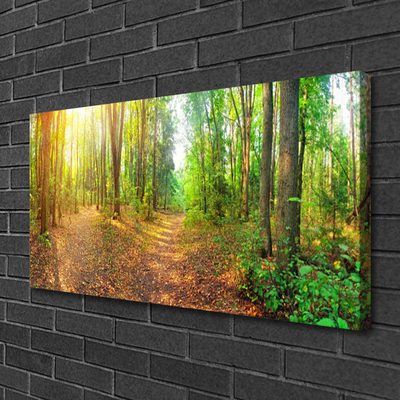 Quadro su tela Alberi della natura della foresta