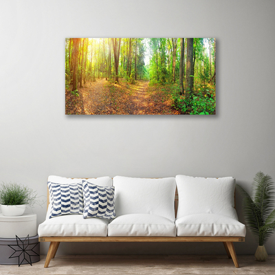 Quadro su tela Alberi della natura della foresta