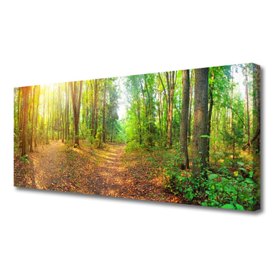 Quadro su tela Alberi della natura della foresta