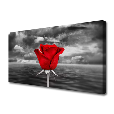 Quadro su tela Rosa. Fiore. Pianta. Mare