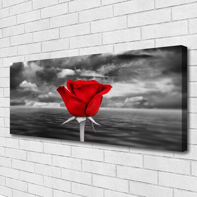 Quadro su tela Rosa. Fiore. Pianta. Mare