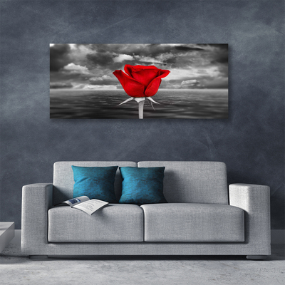 Quadro su tela Rosa. Fiore. Pianta. Mare