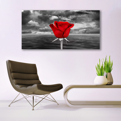 Quadro su tela Rosa. Fiore. Pianta. Mare