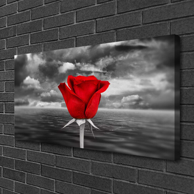 Quadro su tela Rosa. Fiore. Pianta. Mare