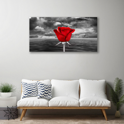 Quadro su tela Rosa. Fiore. Pianta. Mare