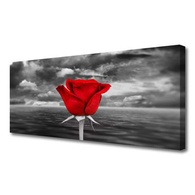 Quadro su tela Rosa. Fiore. Pianta. Mare