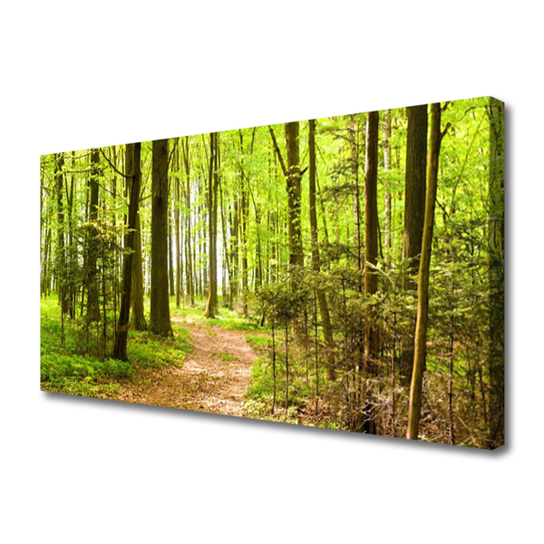 Stampa quadro su tela Foresta del percorso della natura