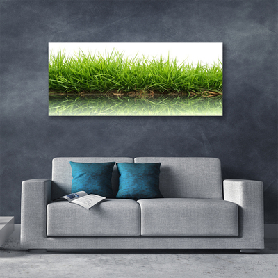 Foto quadro su tela Erba, acqua, natura, piante