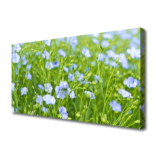 Quadro su tela Fiori. Erba. Pianta. Natura