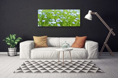 Quadro su tela Fiori. Erba. Pianta. Natura