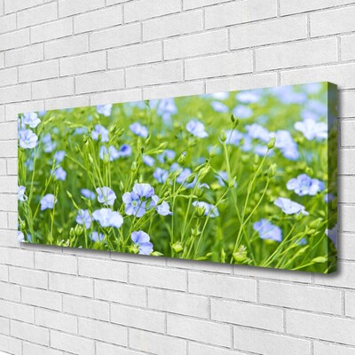 Quadro su tela Fiori. Erba. Pianta. Natura