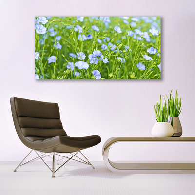 Quadro su tela Fiori. Erba. Pianta. Natura