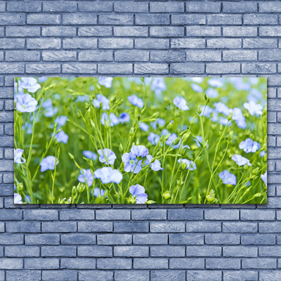 Quadro su tela Fiori. Erba. Pianta. Natura