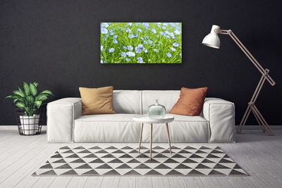 Quadro su tela Fiori. Erba. Pianta. Natura