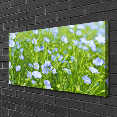 Quadro su tela Fiori. Erba. Pianta. Natura