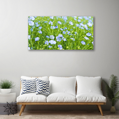 Quadro su tela Fiori. Erba. Pianta. Natura